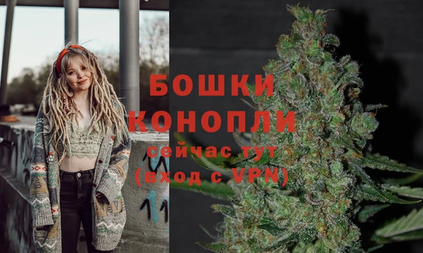 ПСИЛОЦИБИНОВЫЕ ГРИБЫ Беломорск