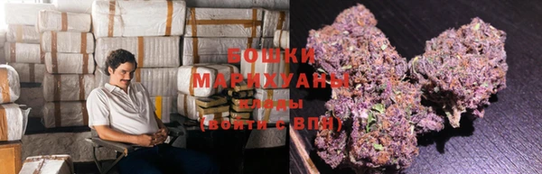 трава Балахна