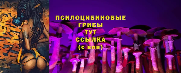 a pvp Белоозёрский